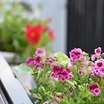Bed & Breakfast Terra Mia 4*